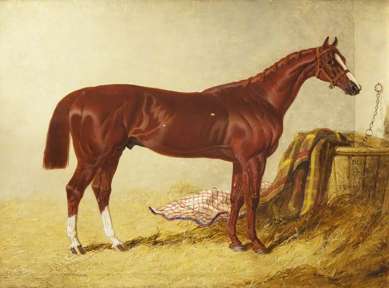 Elis, vencedora do St Leger Stakes, 1836, em uma cocheira separada - John Frederick Herring, Sr.