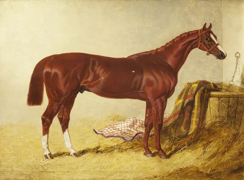 Elis, vencedora do St Leger Stakes, 1836, em uma cocheira separada - John Frederick Herring, Sr.
