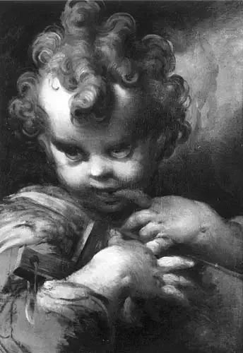 Criança São João - Parmigianino