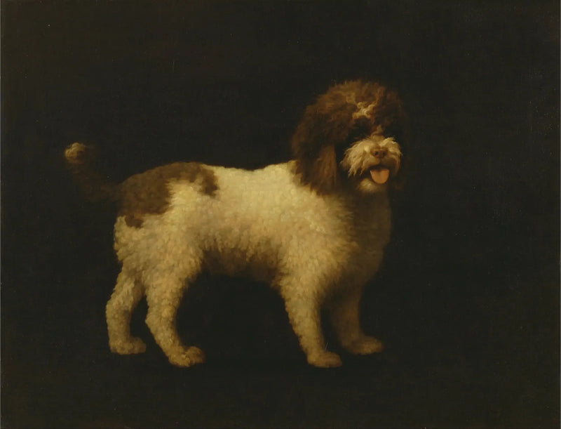 Cocker Spaniel de Água - George Stubbs