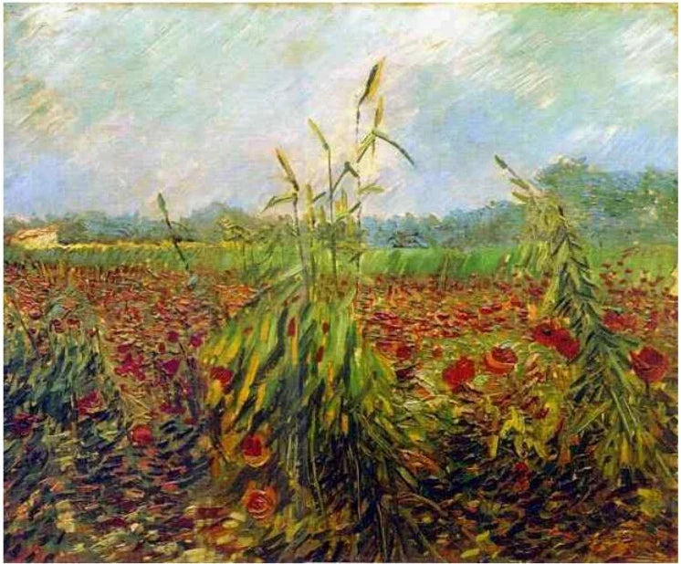 Espigas de trigo verdes - Vincent van Gogh