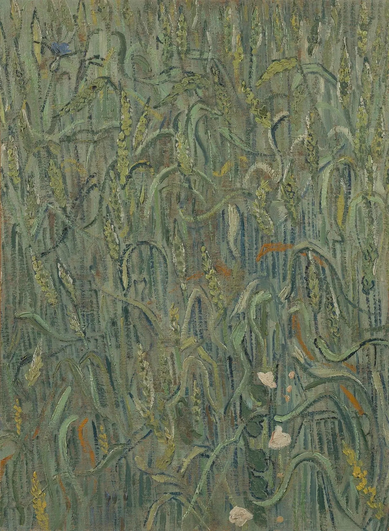 Épis de blé - Vincent van Gogh image 1 reproduction d’œuvre d’art à l’huile