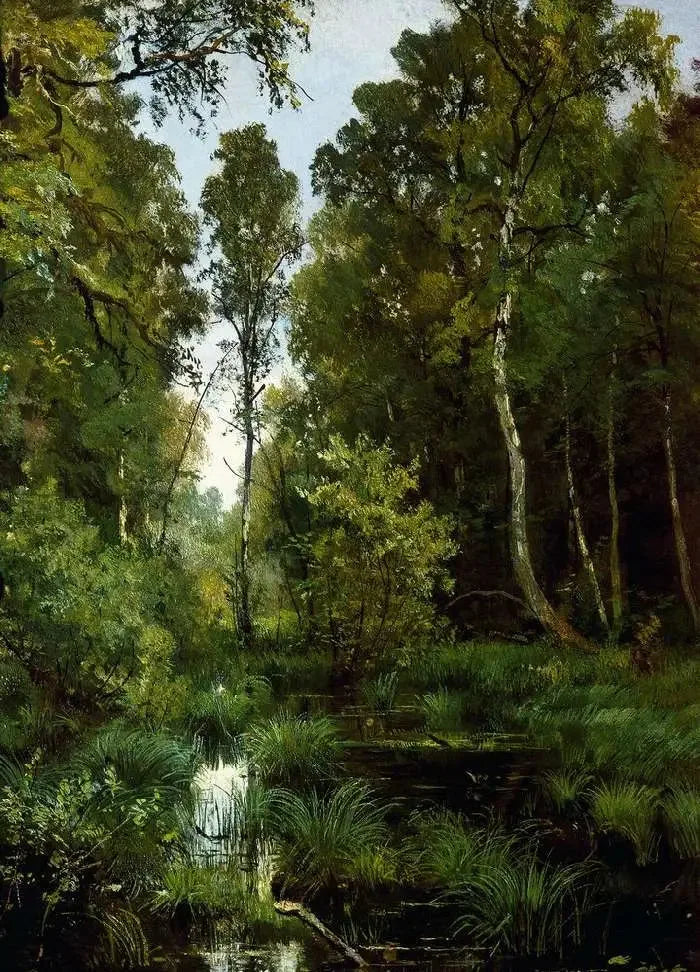 Estanque invadido pela vegetação na beira da floresta. Siverskaya - Ivan Chichkine