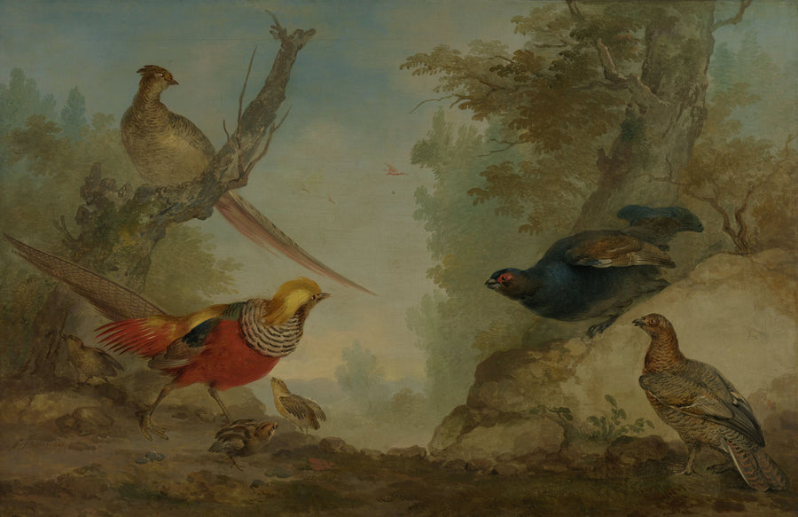 Faisans - Aert Schouman