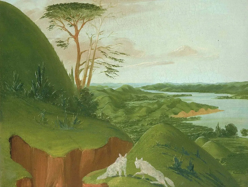 Falésias fluviais com lobos brancos em primeiro plano, Alto Missouri - George Catlin