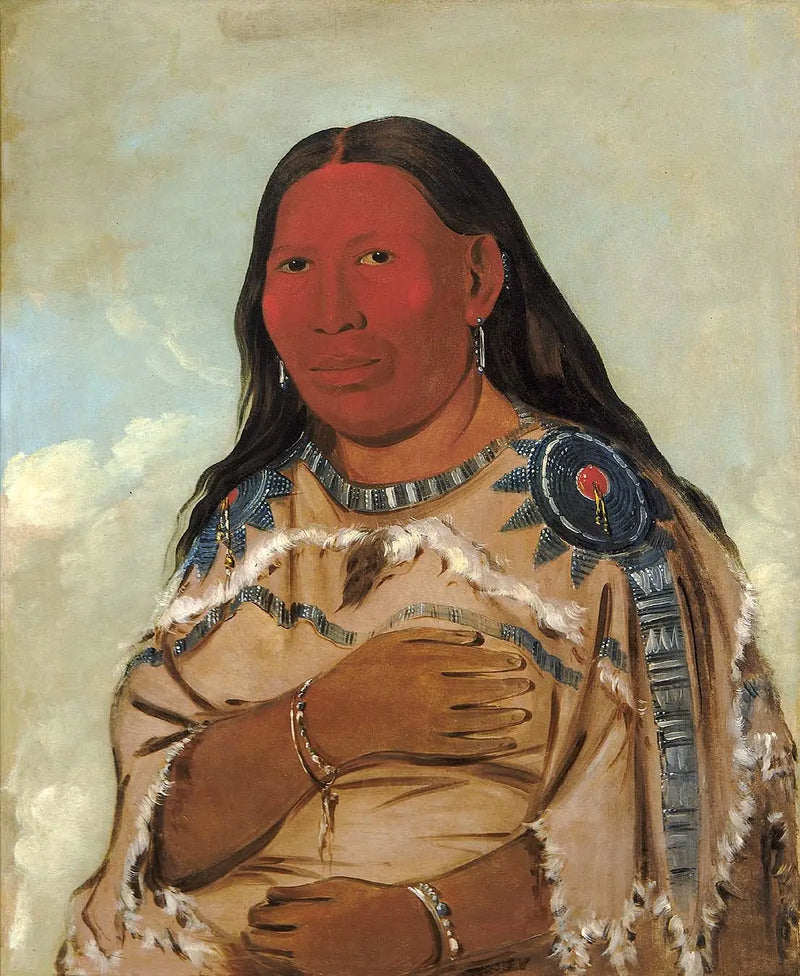 Mulher de dois corvos - George Catlin