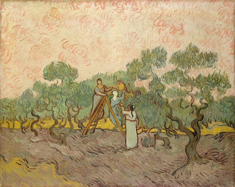 Mulheres colhendo azeitonas - Vincent van Gogh