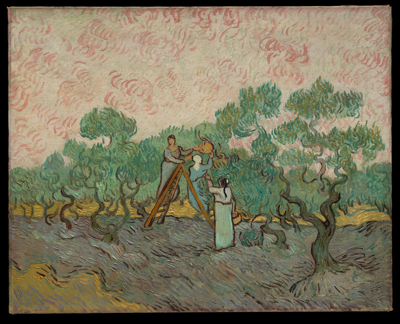 Mulheres colhendo azeitonas - Vincent van Gogh