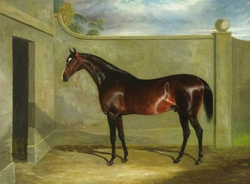 Filho da Puta - John Frederick Herring, Sr.
