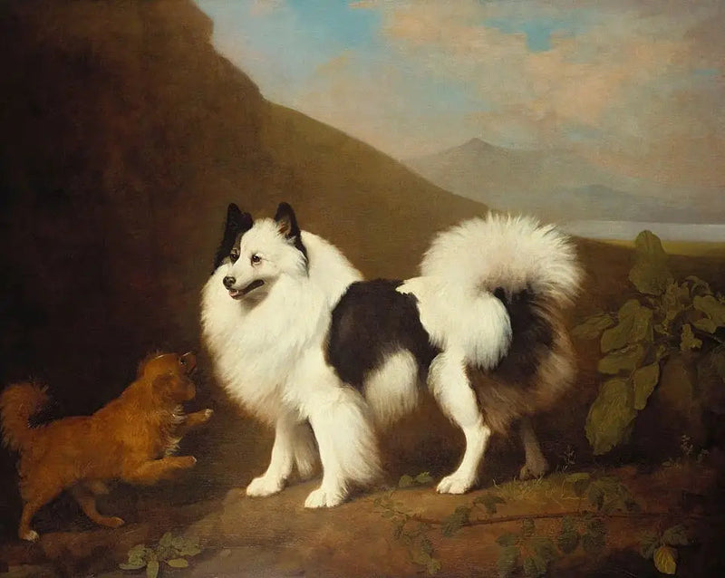 Fino e Pequeno - George Stubbs