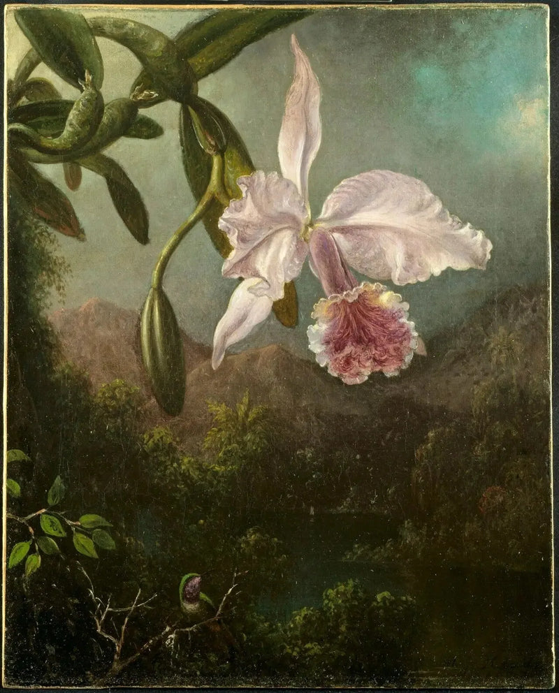 Flores de orquídeas - Martin Johnson Heade