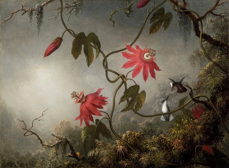 Flores da paixão e Colibris - Martin Johnson Heade