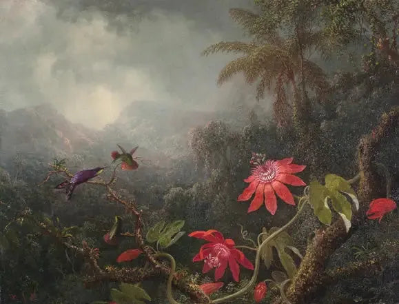 Flores da paixão e Três Colibris - Martin Johnson Heade