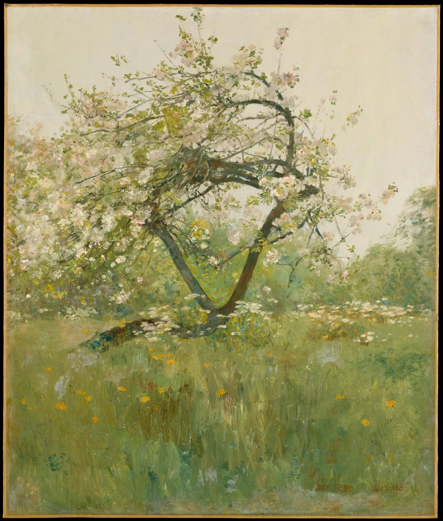 Flores de pessegueiro — Villiers-le-Bel - Childe Hassam