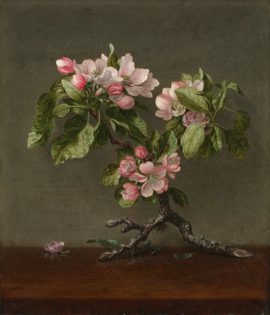 Flores de macieira - Martin Johnson Heade