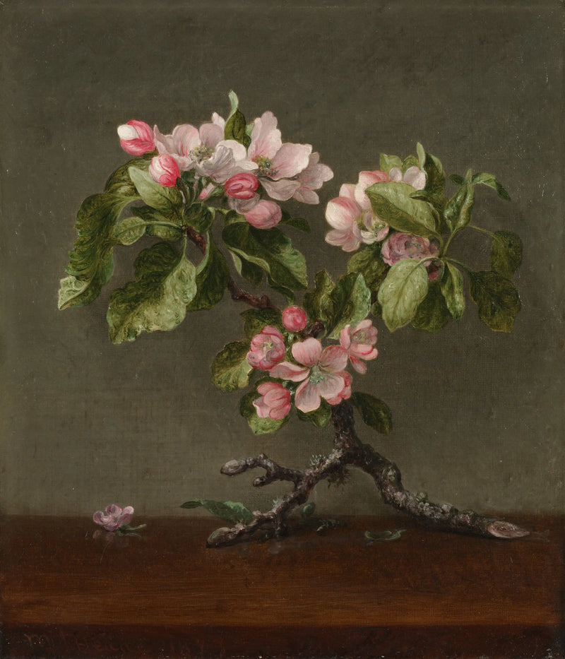 Flores de macieira - Martin Johnson Heade