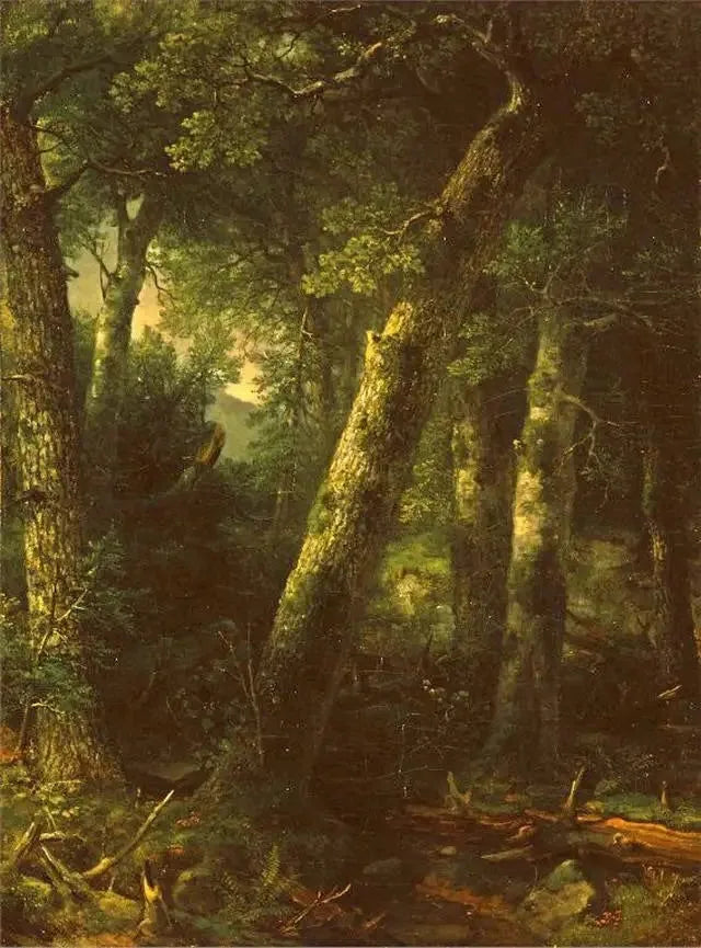 Floresta na luz da manhã - Asher Brown Durand