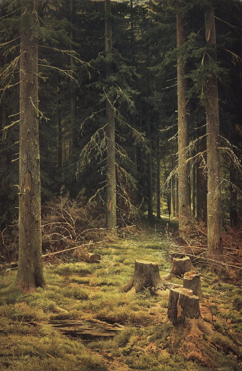 Floresta de coníferas - Ivan Chichkine