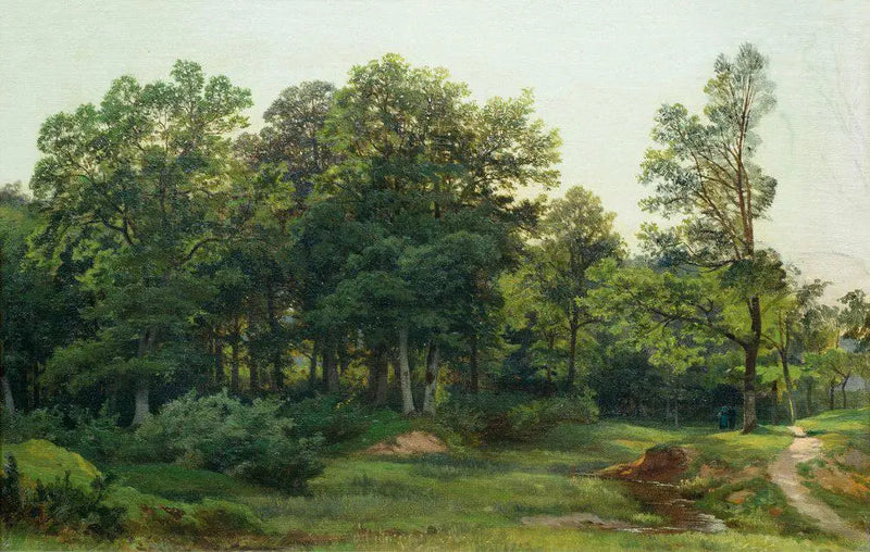 Floresta de árvores de folhas largas - Ivan Chichkine