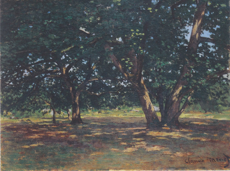 Floresta de Fontainebleau - Claude Monet