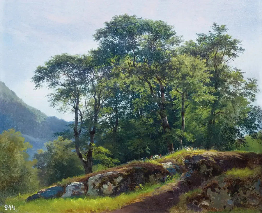 Floresta de faias na Suíça - Ivan Chichkine