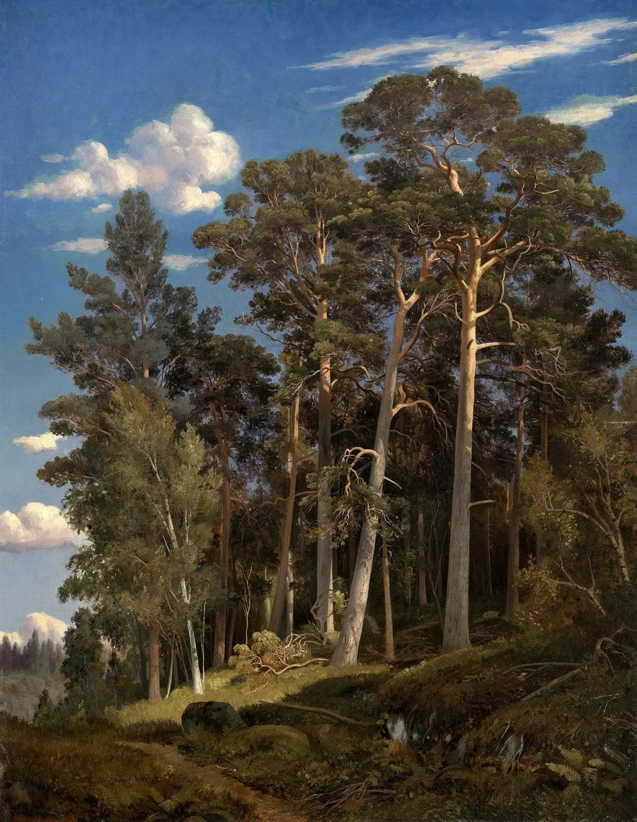 Floresta de pinheiros - Ivan Chichkine