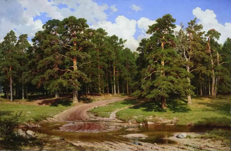 Floresta de pinheiros - Ivan Chichkine