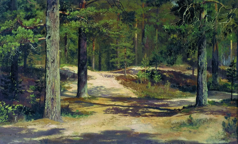 Floresta de pinheiros - Ivan Chichkine