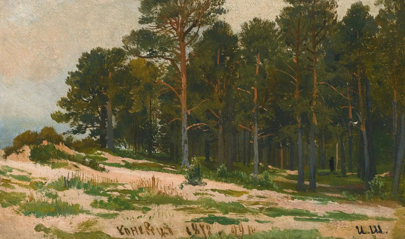 Floresta de pinheiros - Ivan Chichkine