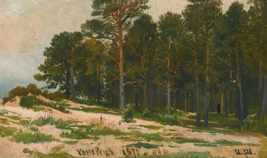 Floresta de pinheiros - Ivan Chichkine
