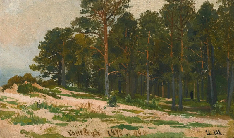 Floresta de Pinheiros - Ivan Chichkine