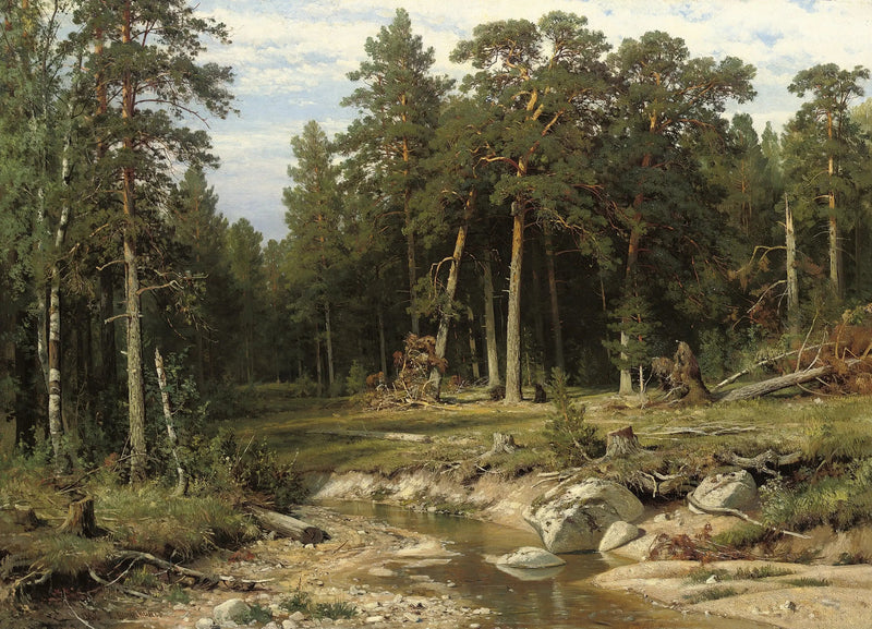Floresta de pinheiros mastros na província de Viatka - Ivan Chichkine