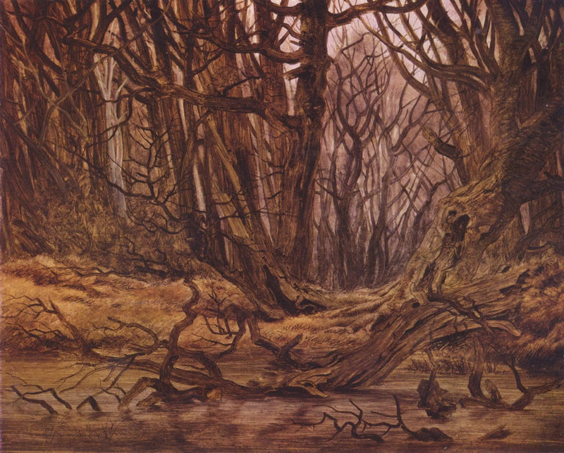 floresta no final do outono - Caspar David Friedrich