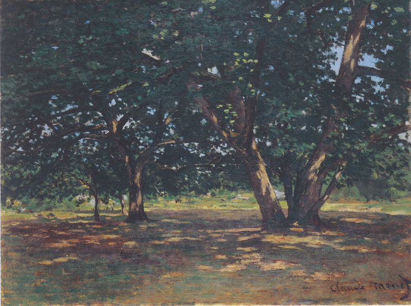 Floresta Fontainebleau W59 - Claude Monet