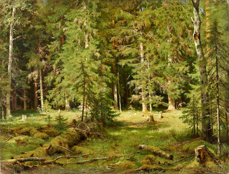 Floresta - Ivan Chichkine