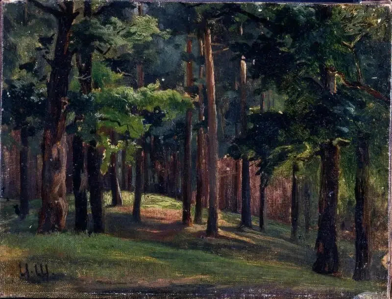 Floresta - Ivan Chichkine