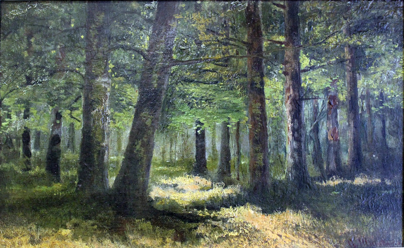 Floresta - Ivan Chichkine