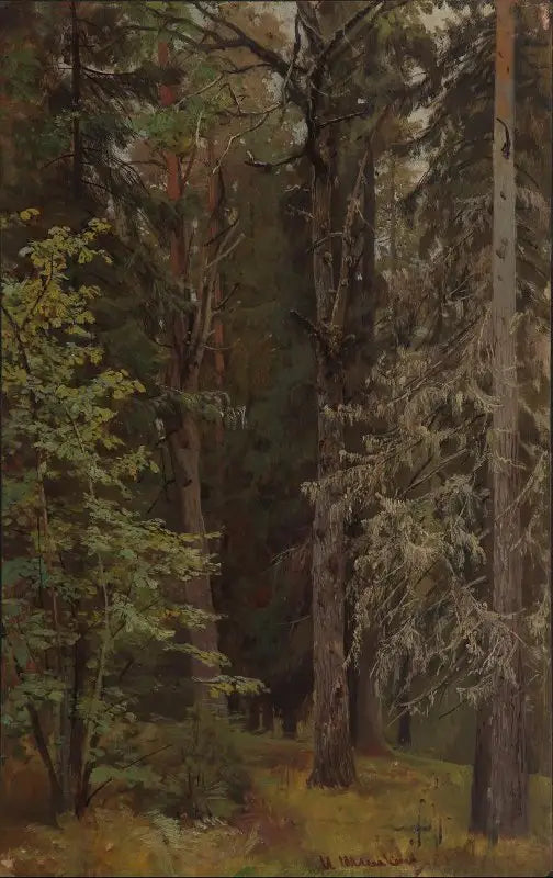 Floresta Mista - Ivan Chichkine