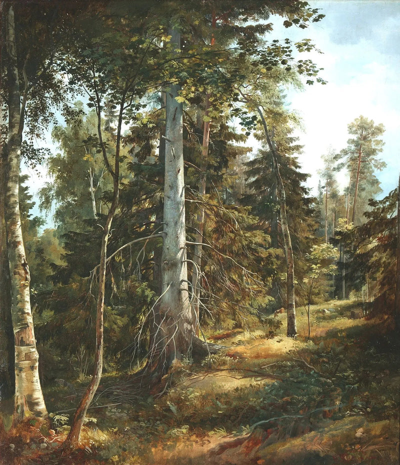 Furão Florestal - Ivan Chichkine