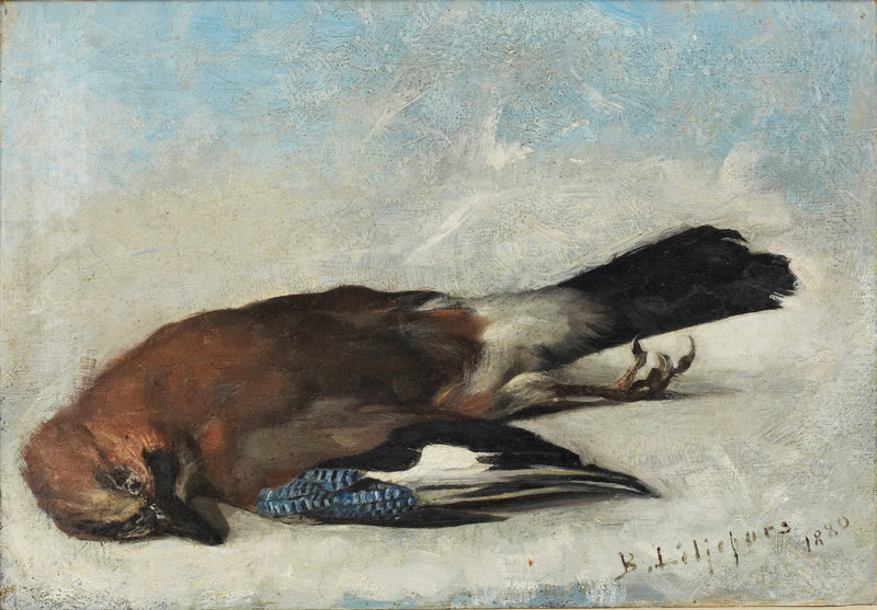 geai eurasien - Bruno Liljefors