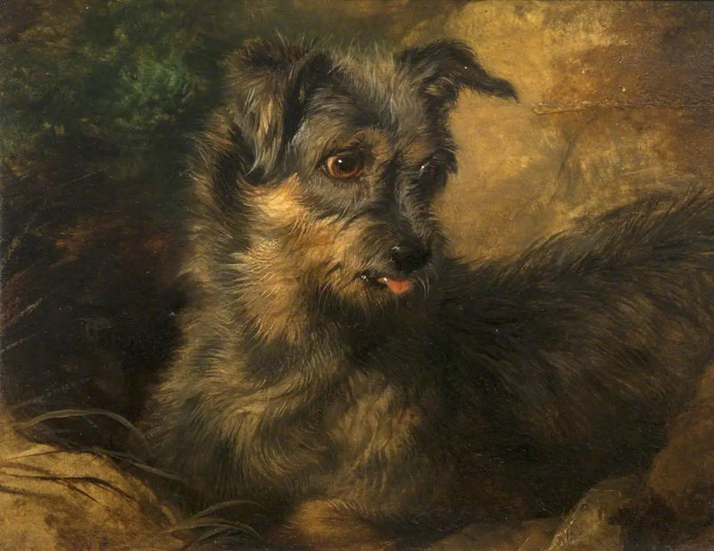 Gengibre - Edwin Henry Landseer