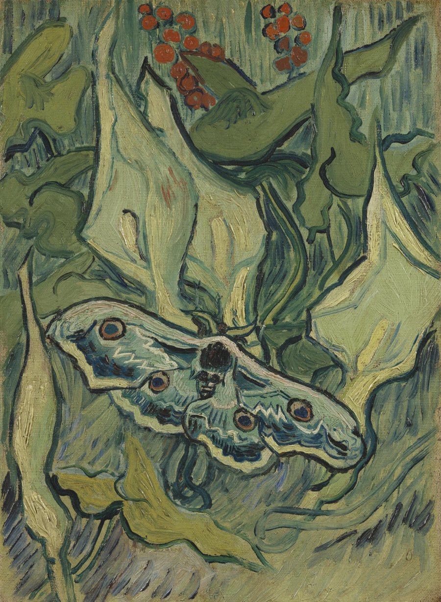 Grande Pavão-noturno - Vincent van Gogh