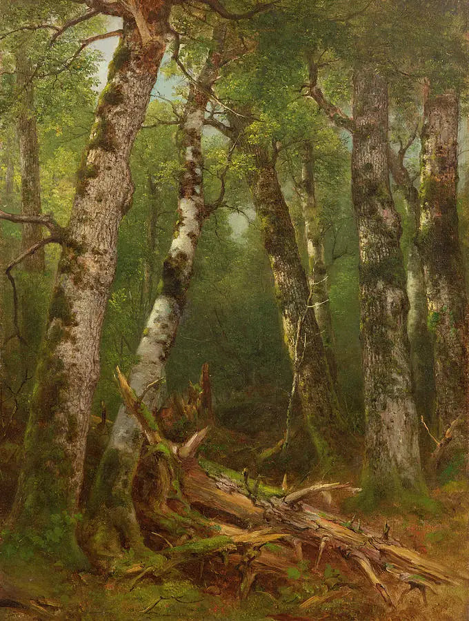 Grupo de árvores - Asher Brown Durand