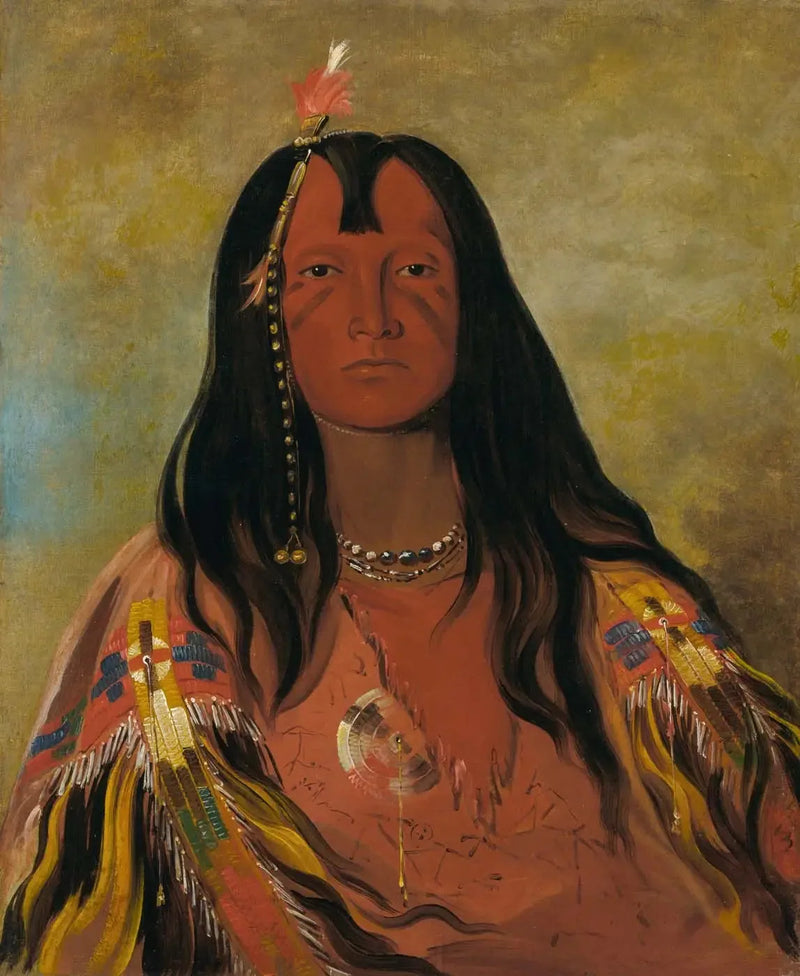 H'co-a-h'co-a-h'cotes-min, Sem chifres na cabeça, um bravo - George Catlin