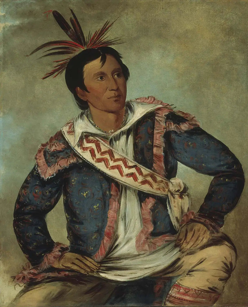 Há-tchoo-túc-knee, tartaruga serpente, uma mestiça - George Catlin