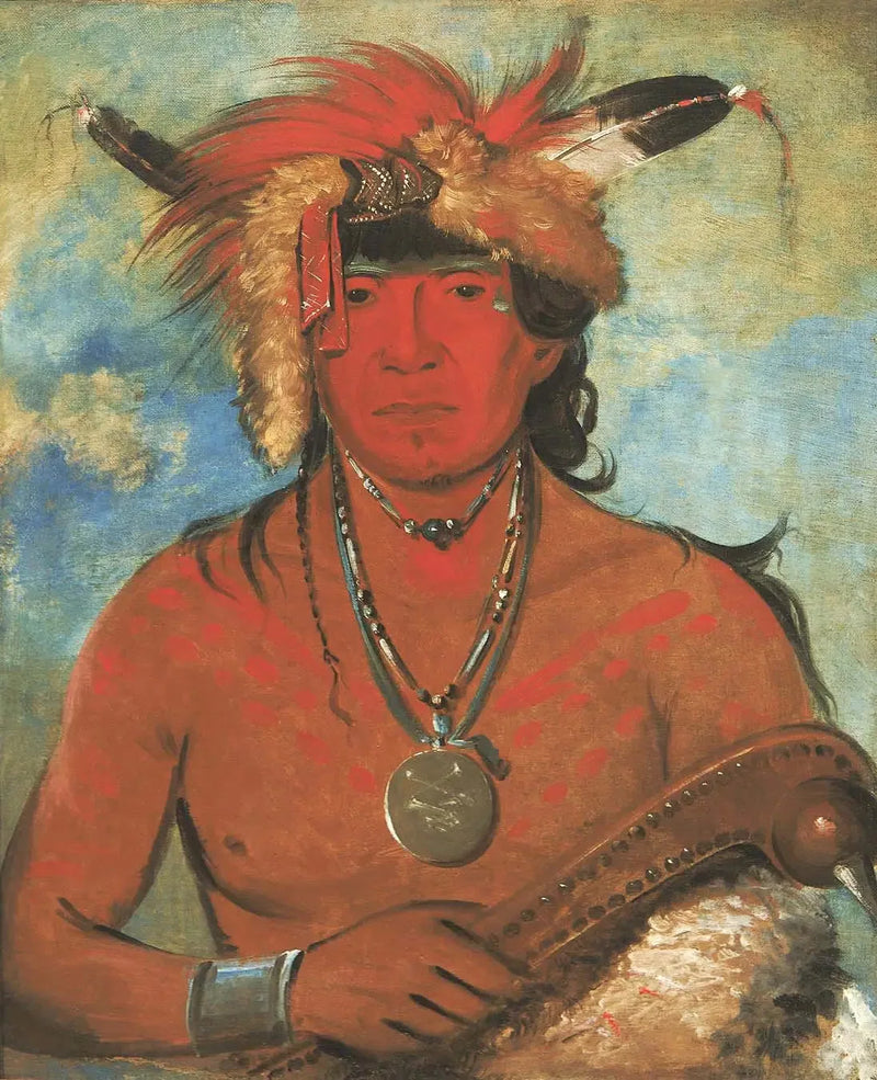 Háh-je-day-ah'-shee, Encontro com os pássaros, um bravo - George Catlin