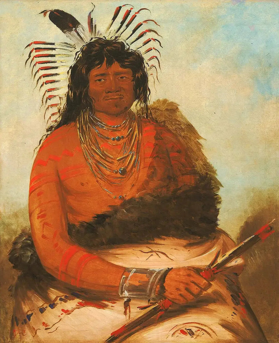 Háh-nee, o castor, um guerreiro - George Catlin