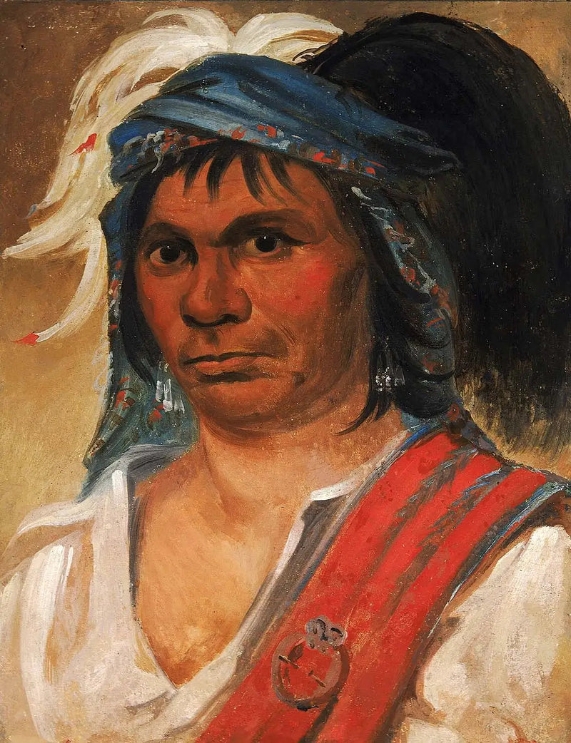 Hard Hickory, um homem amável - George Catlin