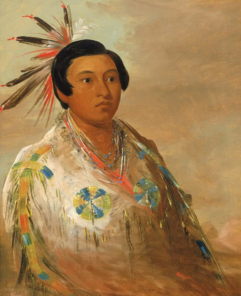 Hee-doh'ge-ats, um jovem - George Catlin