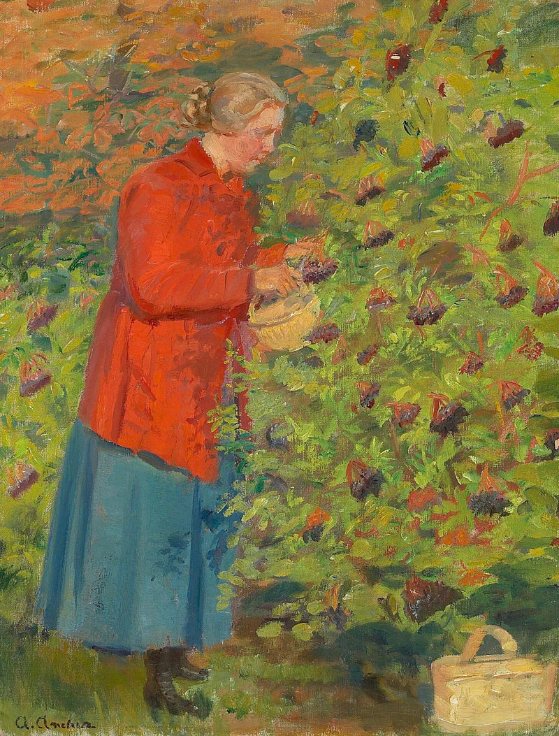 Helga Ancher colhendo bagas de sabugueiro. - Anna Ancher